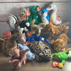 Bundle of 18 TY Babies